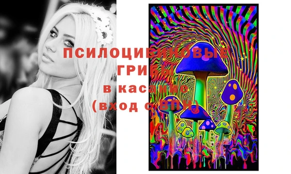 ПСИЛОЦИБИНОВЫЕ ГРИБЫ Арсеньев