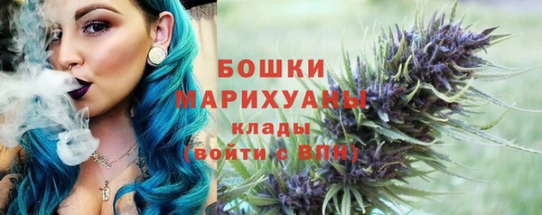 ПСИЛОЦИБИНОВЫЕ ГРИБЫ Арсеньев