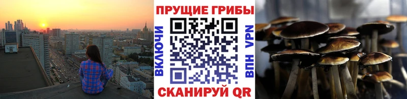 Галлюциногенные грибы GOLDEN TEACHER гидра ТОР Заречный
